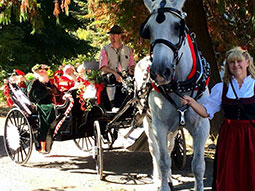 Hans Christian Anderson Carriage Company