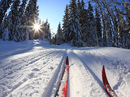 Stevens Pass Nordic Center